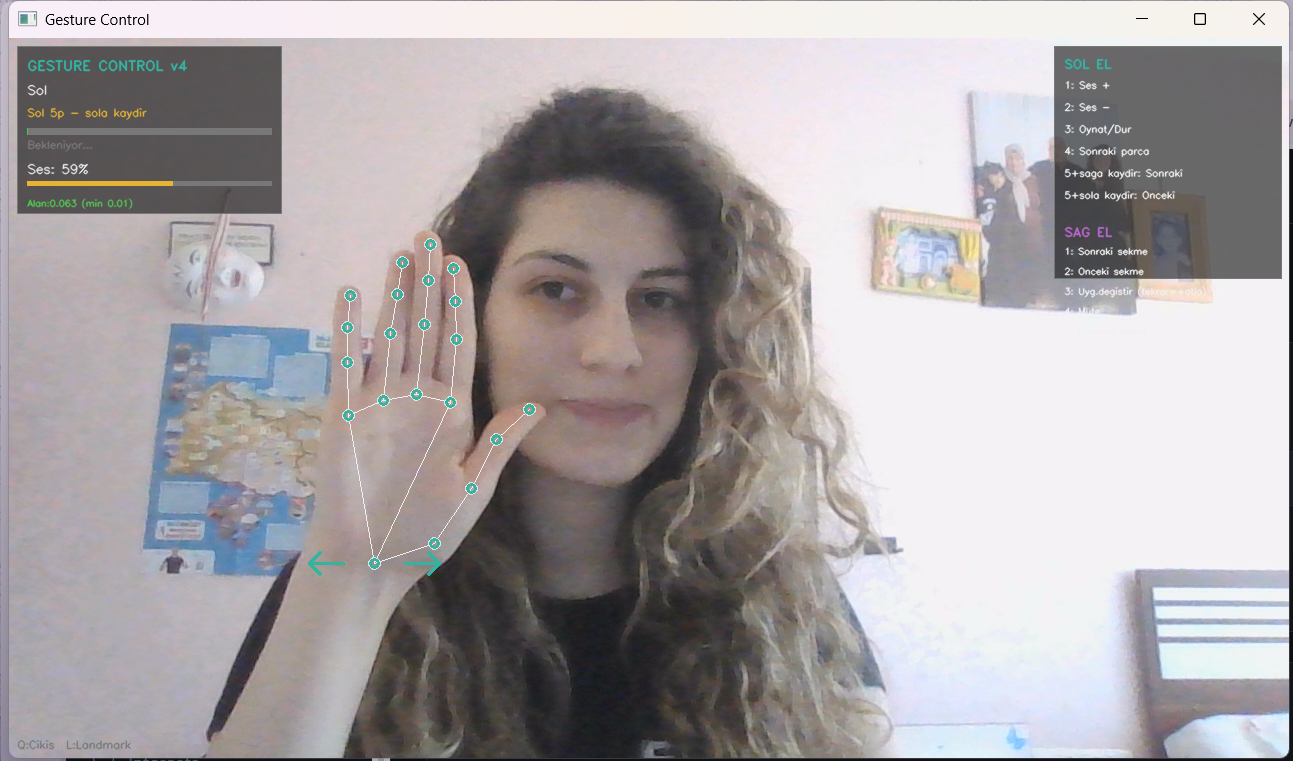 Gesture Control