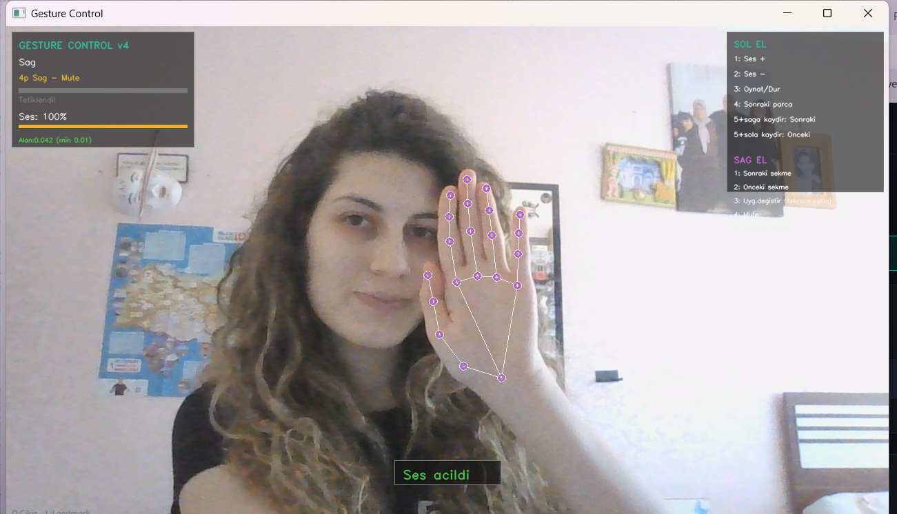 Gesture Control